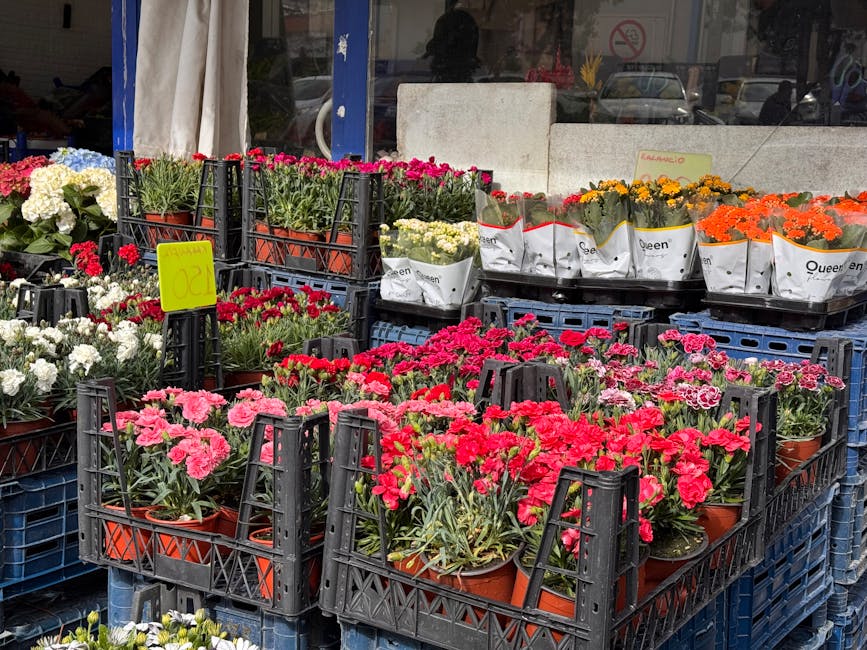 A display of various potted flowering plants arranged on black plastic crates outside a florist shop, including pink, red, white, yellow, and orange blooms, such as carnations and other seasonal flowe