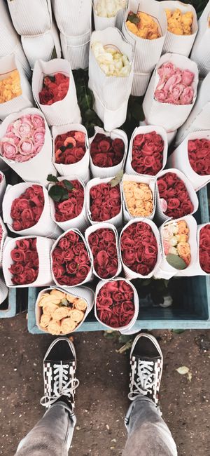 A top-down view of numerous flower bouquets wrapped in white paper, arranged in neat rows, showcasing a variety of fresh roses in shades of red, pink, orange, and cream. The bouquets are densely packe