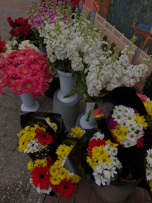 A selection of freshly arranged floral bouquets and stems displayed outdoors, featuring vibrant pink chrysanthemums, white daisies, and bright yellow and red gerbera daisies, arranged in black wrappin