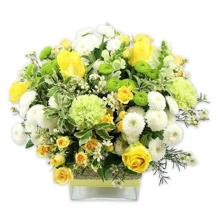 A beautifully balanced floral arrangement in sunny yellow, cool white, and fresh lime green stands in a low, clear square glass vase, photographed carefully against a white background that allows its colours to glow. The bouquet is shaped into a generous, domed form, capturing the eye with yellow roses placed prominently throughout. Some of these roses are fully open, their velvety petals arranged in soft spirals, while others are still in bud, creating a dynamic mix of bloom stages. Nestled closely among them are delicate yellow spray roses, their smaller heads clustering together to add depth and a sense of natural abundance. Numerous white pompom chrysanthemums punctuate the design, their tightly packed, spherical heads providing a plush contrast to the smoother rose petals. Bright lime-green button chrysanthemums are dotted throughout like tiny lanterns, while larger, ruffled pale-green blooms-suggestive of frilly carnations or specialized green chrysanthemums-lend a gentle, airy quality, filling the spaces between the bolder colours. The arrangement is framed by generous greenery, including broad variegated leaves with pale edges and finer, darker stems of filler foliage that weave in and out, adding texture and a feeling of movement that recalls the leafy residential streets around Highams Park. Scattered between the main blooms are tiny, star-like white filler flowers that catch the light and soften any sharp edges, lending delicacy to the composition. The square glass vase reveals the neatly trimmed stems submerged in water, and around its middle is a rustic band, possibly made from woven natural fibre or bark, topped with a smooth lime-green ribbon wrapped horizontally. This thoughtfully designed bouquet from Florist Highams Park radiates warmth and optimism, perfect as a birthday surprise, a congratulations gift for a new job, or a fresh centrepiece for a weekend brunch table overlooking Highams Park Lake.